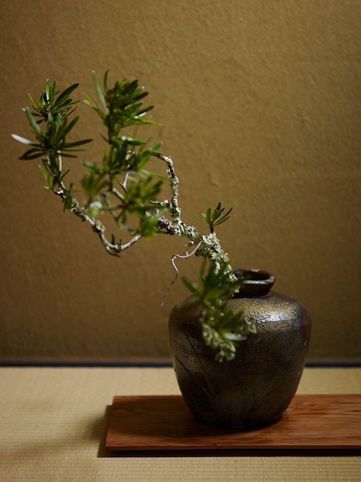 24051 北大路魯山人 (備前瓜形花入(友斎箱・図録掲載品